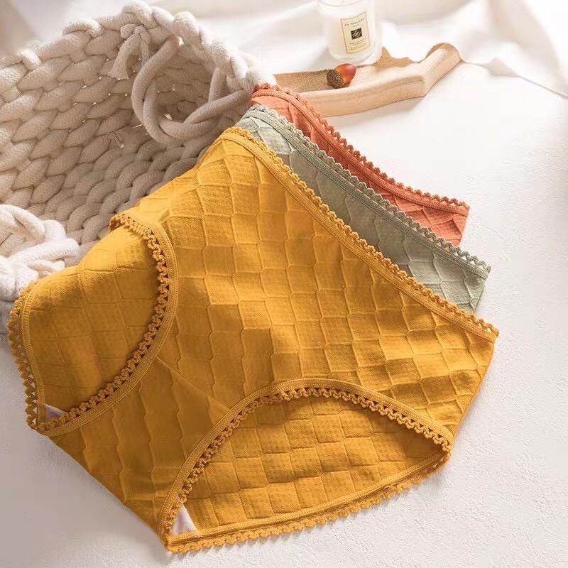 Quần Lót Cotton Kháng Khuẩn Viền Ren