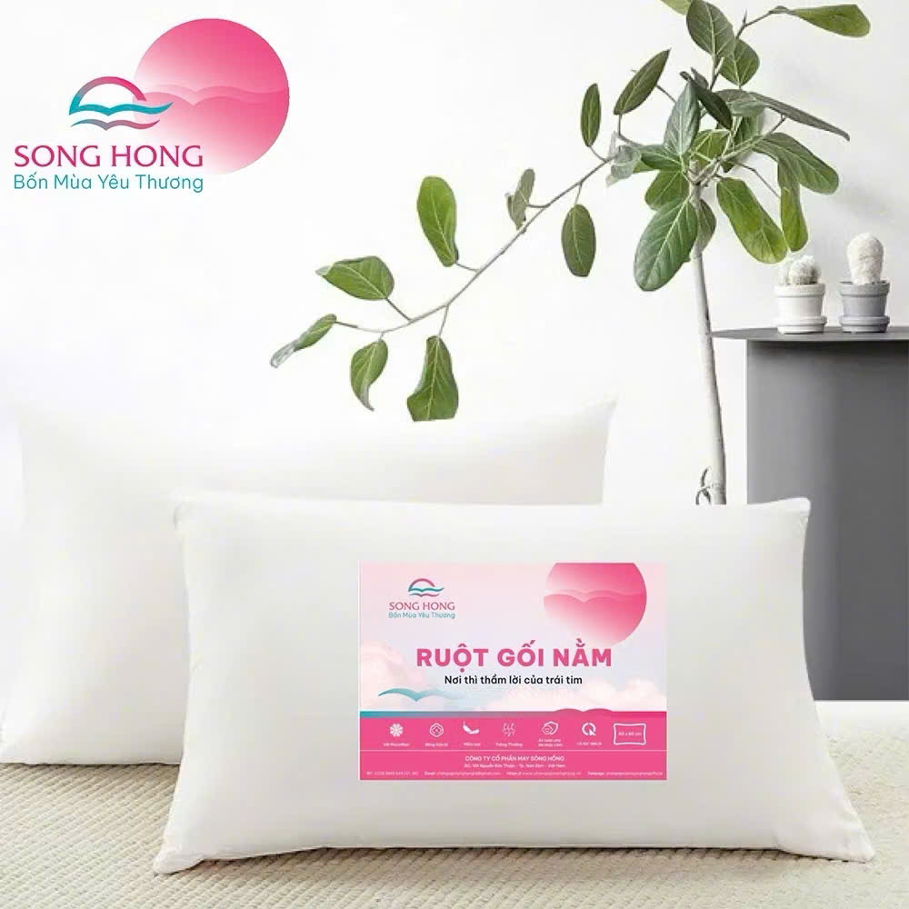 Ruột gối đơn basic Sông Hồng 45x65cm- Hàng chính hãng