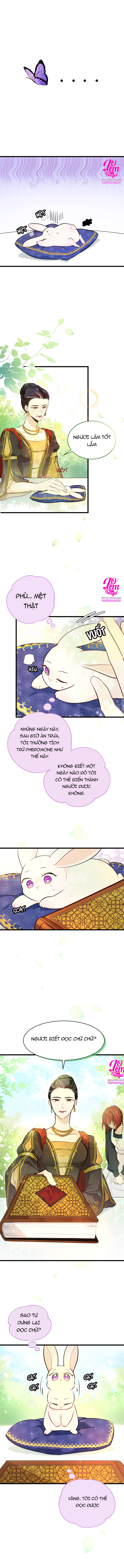 mối liên kết giữa báo đen và bé thỏ chapter 8 4