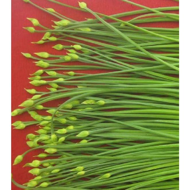 Hạt giống rau hẹ ăn bông cao sản KNS3236 - Gói 2gram