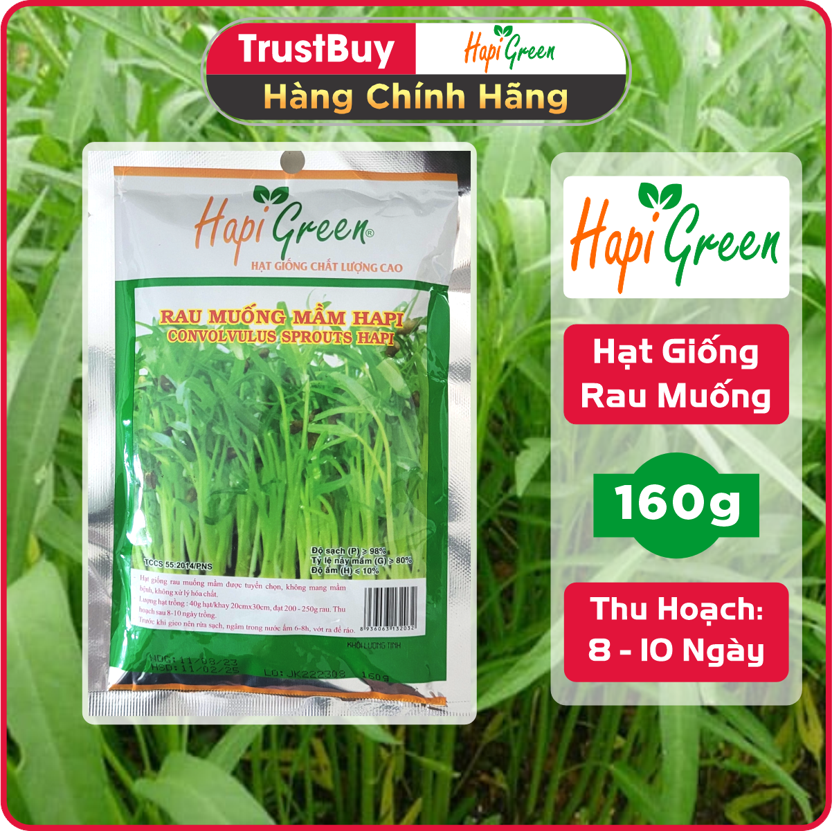 Hạt Giống Rau Muống Mầm HAPI Phú Nông Gói 160g