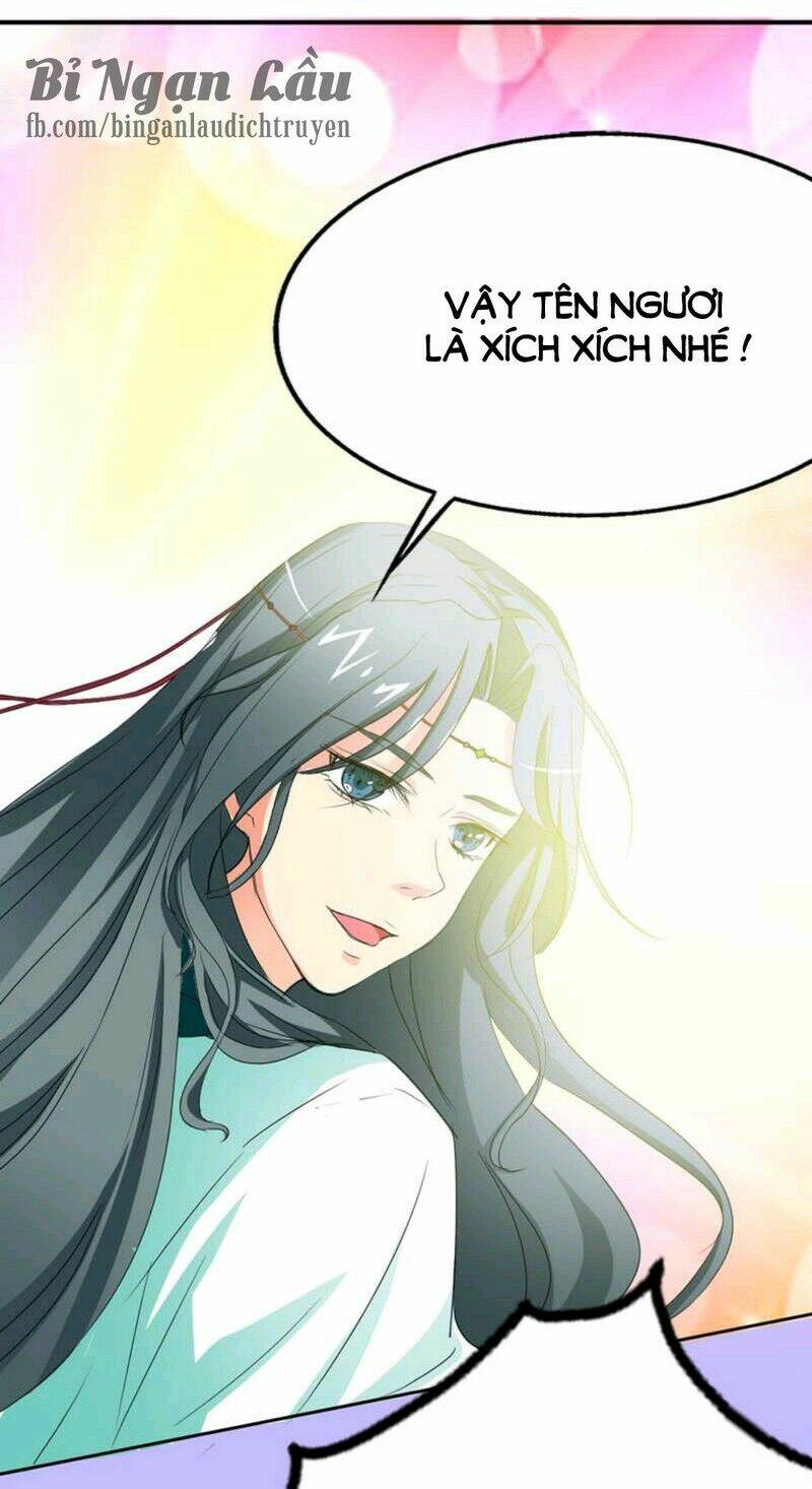 động vật nhỏ thật đáng yêu chapter 14 3