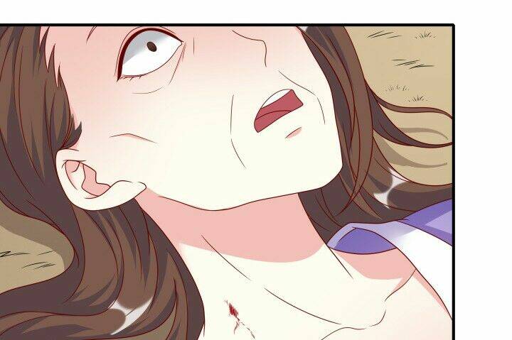 đô đốc đại nhân sủng thê kí chapter 1.9 31