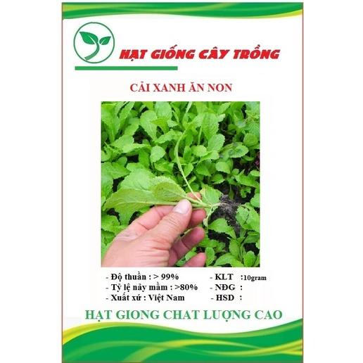 Hạt giống rau cải ăn non baby - 1 gói 10gram