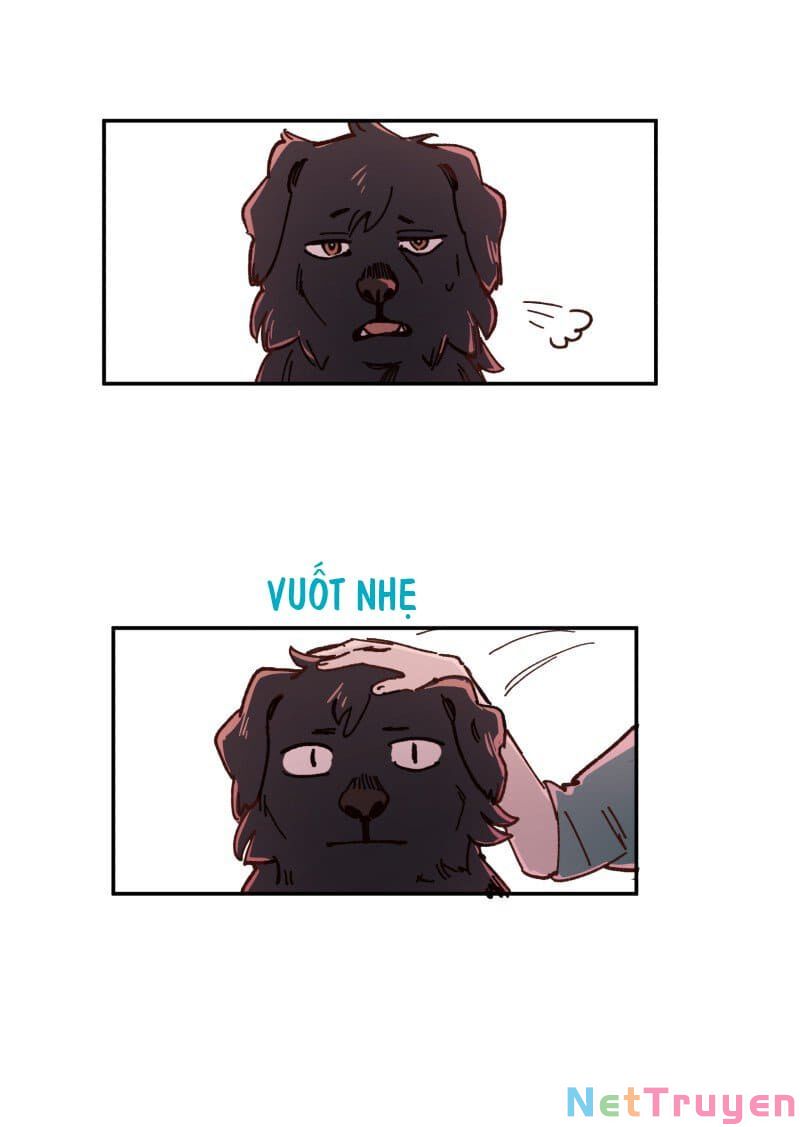 lumine - cội nguồn ánh sáng chapter 83 13