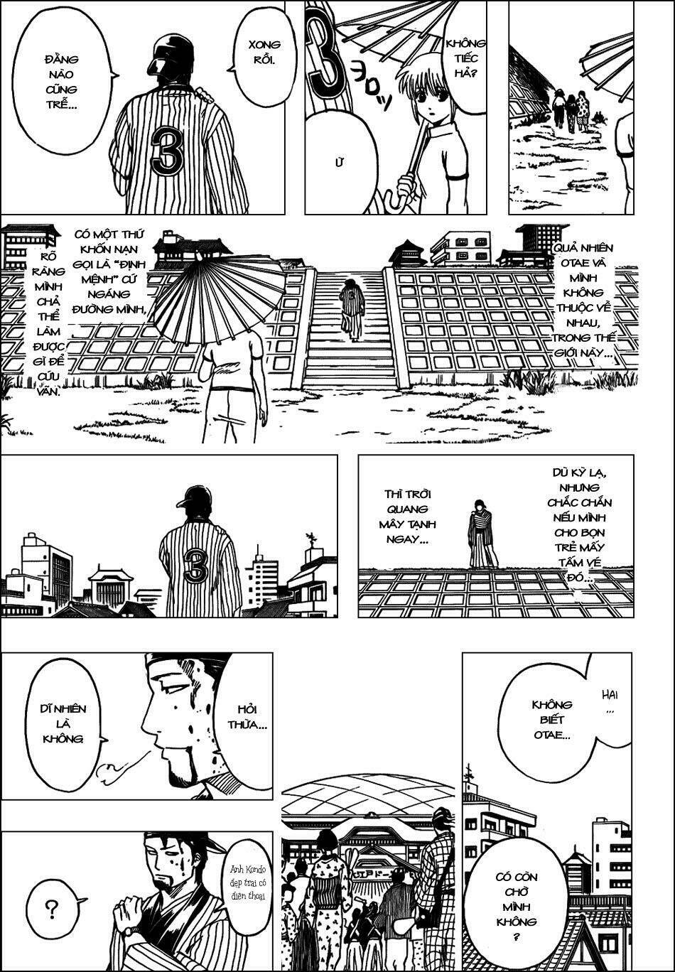 gintama - linh hồn bạc chapter 313 15