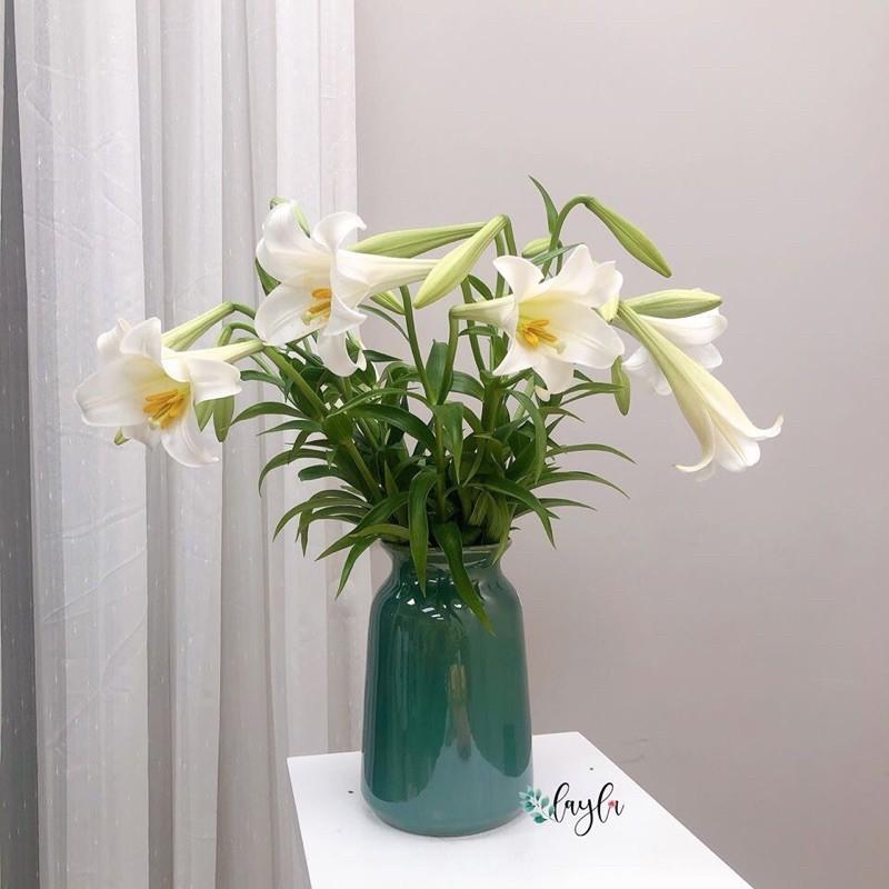 LỌ HOA HOẢ BIẾN