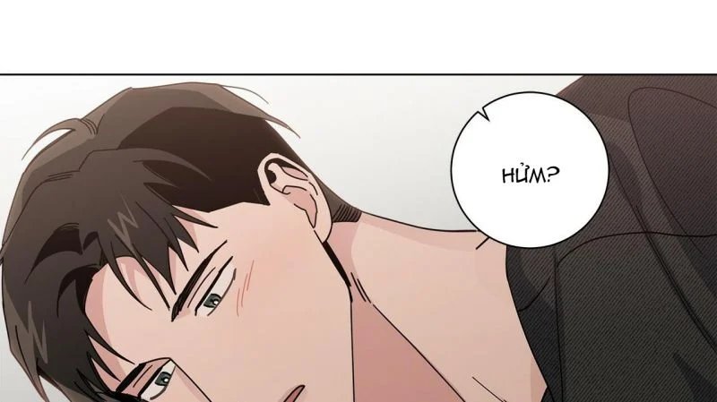 home five chapter 11 99