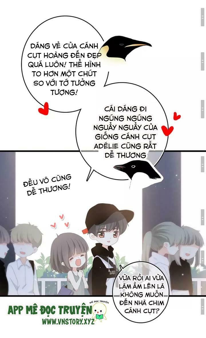 con tim rung động 2 chapter 15 19