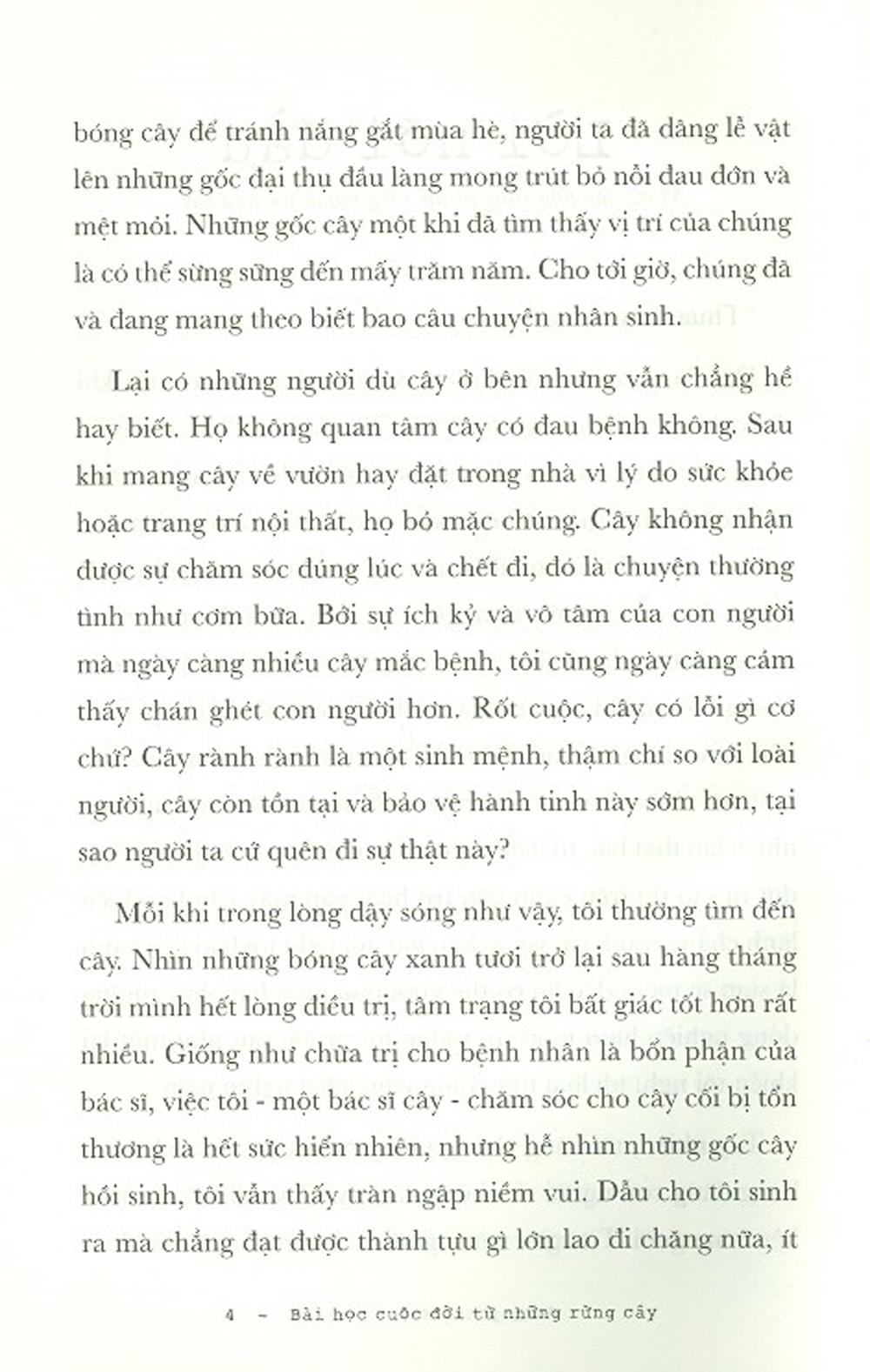 Bài Học Cuộc Đời Từ Những Rừng Cây