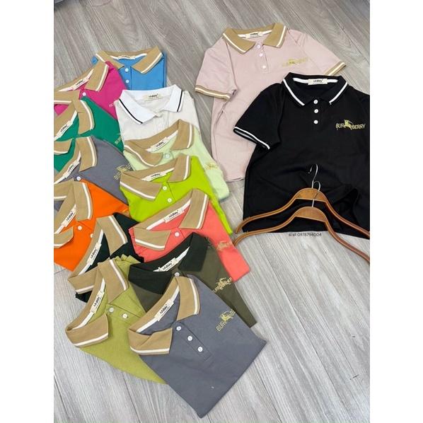 ÁO POLO VIỀN CỔ TAY