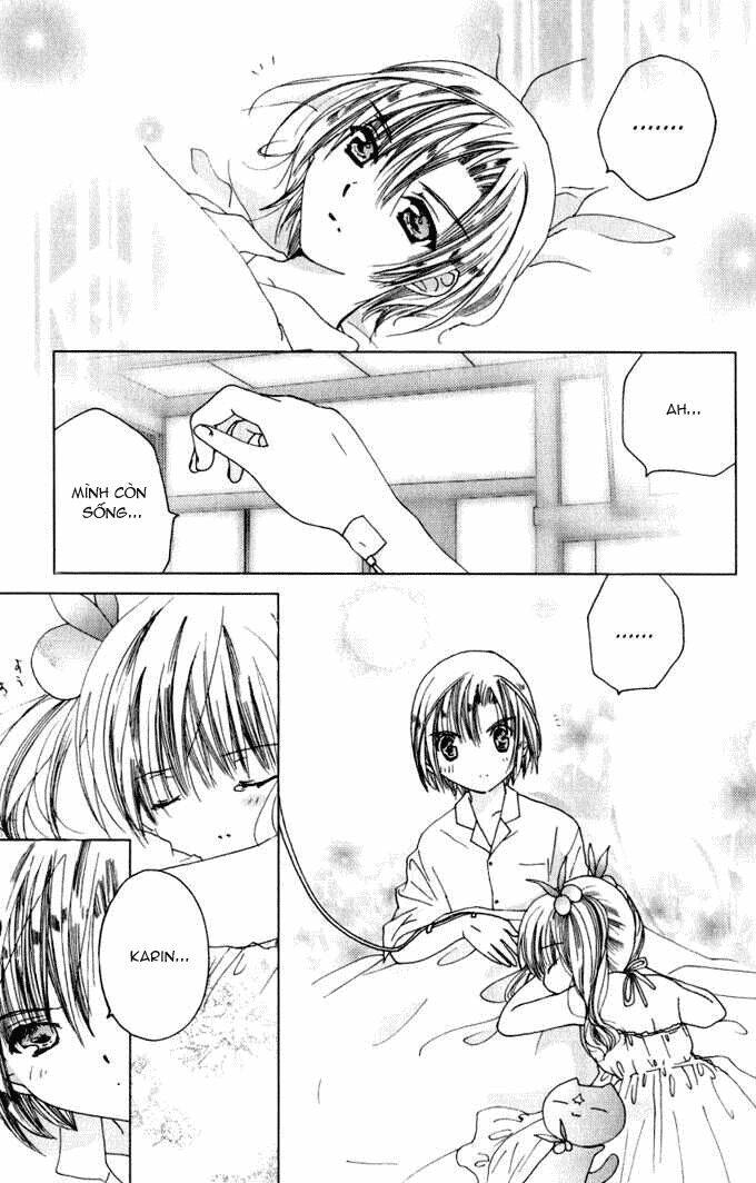 chiếc nhẫn của tiểu thần chapter 28 11