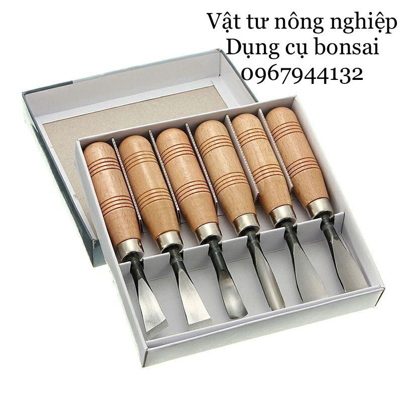 Bộ Đục Cây Cảnh, Bonsai , Gỗ Mỹ Nghệ Chất Lượng Cao