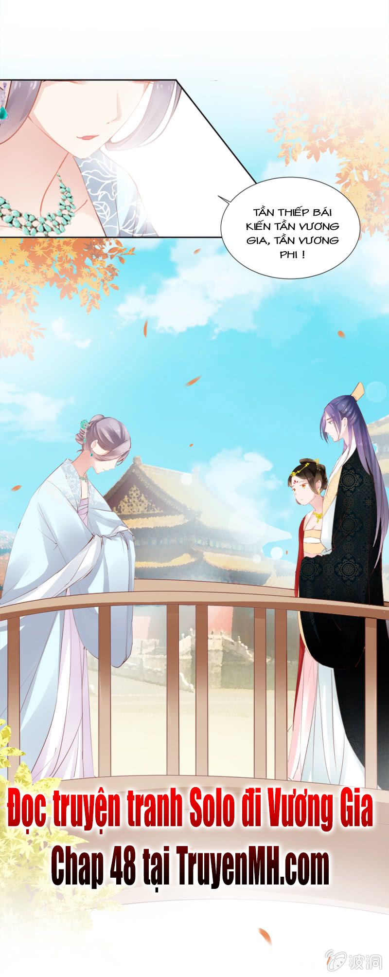 solo đi vương gia chapter 47 20