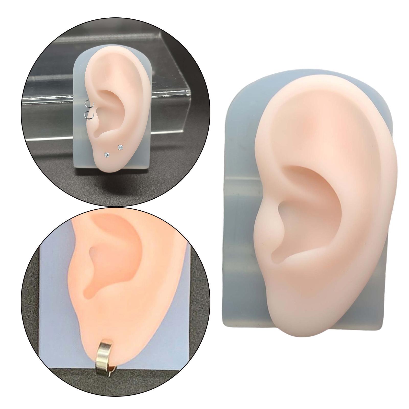 2Pcs Human Body Part Model Flexible Mold for Piercing Exercises Ears