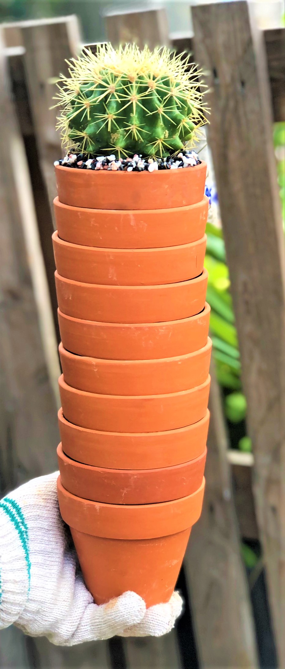 Bộ 10 chậu đất nung trồng xương rồng sen đá Rộng 11 cm x Cao 9,5 cm