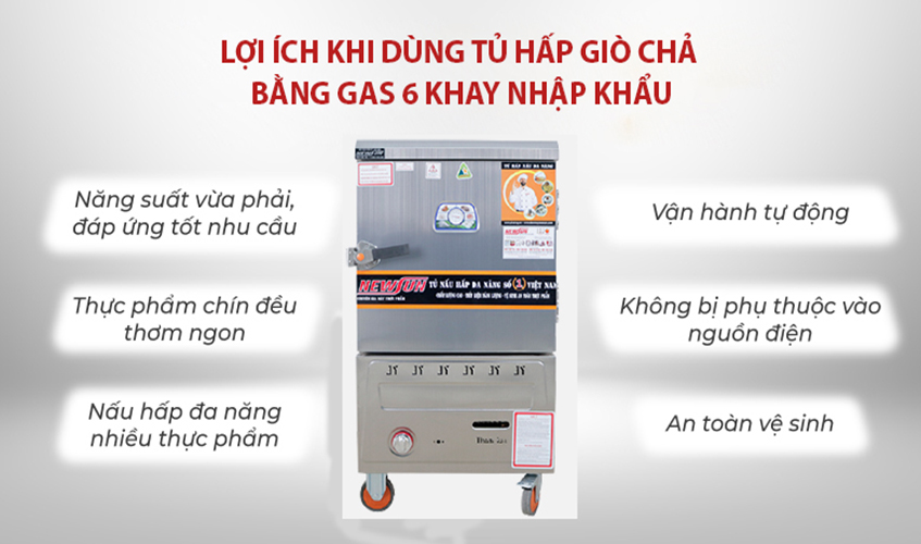 Tủ Hấp Giò Chả, Thực Phẩm 30 Kg Bằng Gas 6 Khay Nhập Khẩu NEWSUN - Hàng Chính Hãng