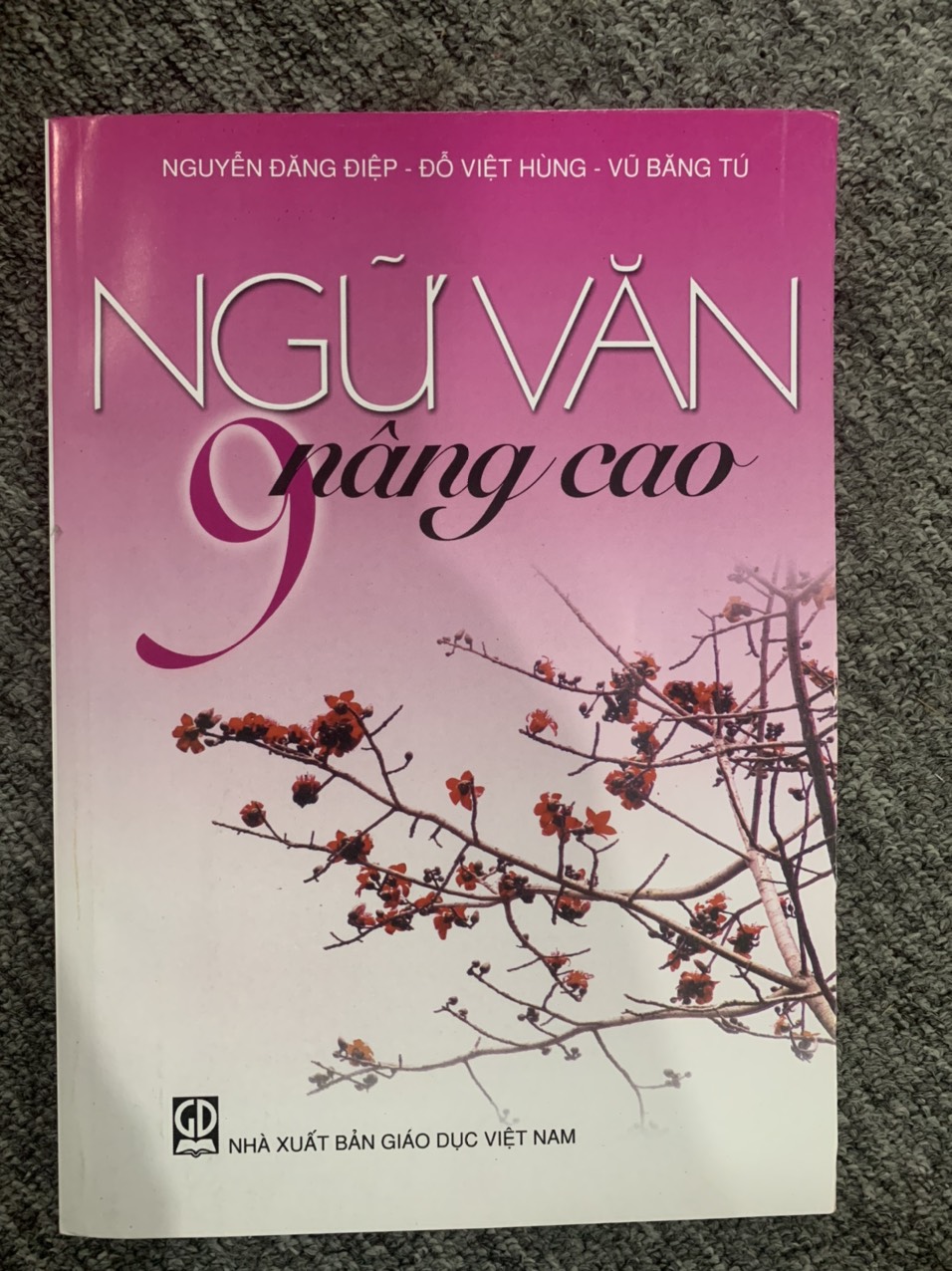 Ngữ văn nâng cao 9