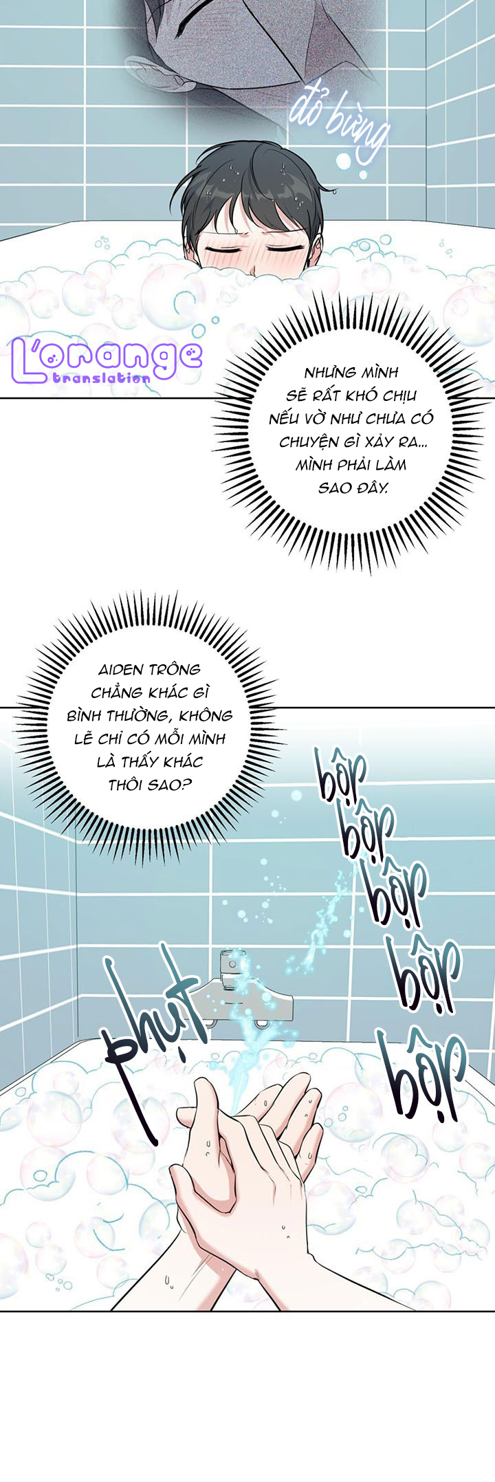 cánh rừng bình lặng chapter 10 28