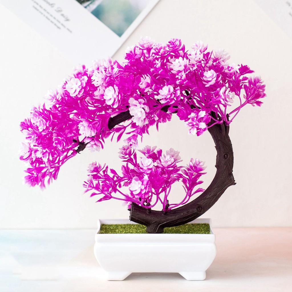 CÂY GIẢ BONSAI dáng trái tim hoa NGÂU ĐIỂM - Chậu cây hoa Phú Quý Cát Tường, trang trí, đề bàn ngày Tết sum vầy