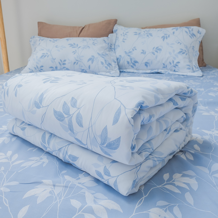 Bộ ga bọc K-Bedding KMTP101