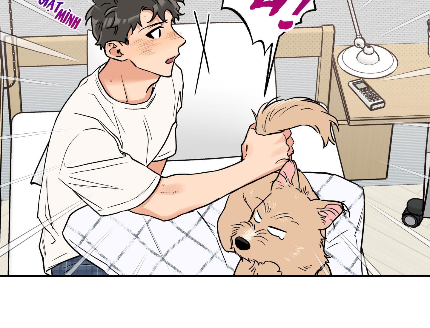 gâu gâu! chapter 49 78