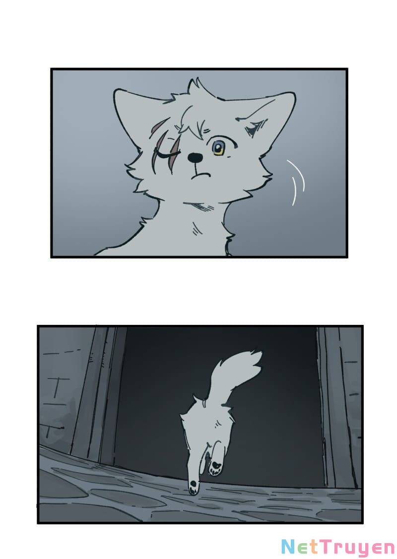 lumine - cội nguồn ánh sáng chapter 150 29