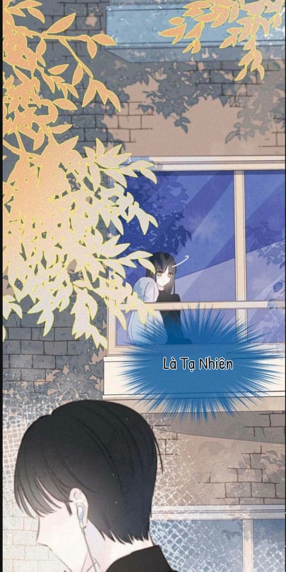 nỗi buồn của hoa cẩm tú cầu chapter 16 13