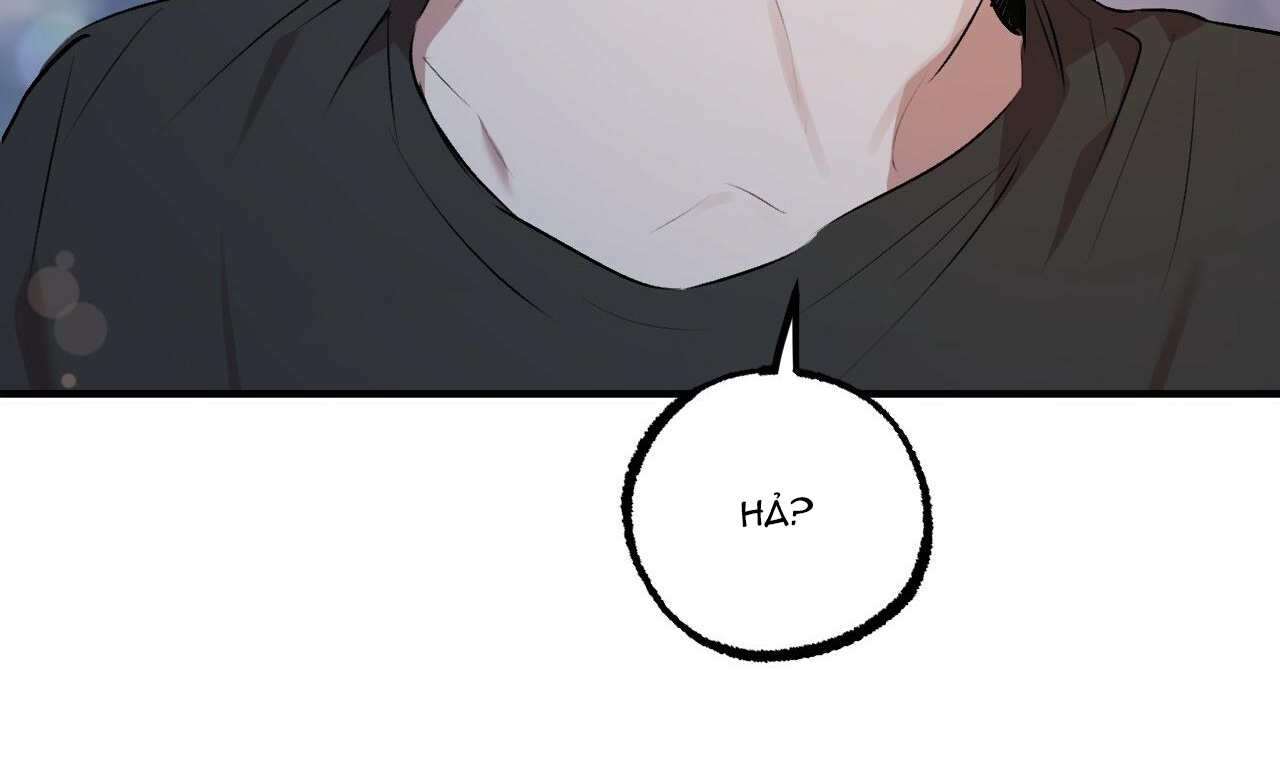 đàn thỏ của habibi chapter 41 141