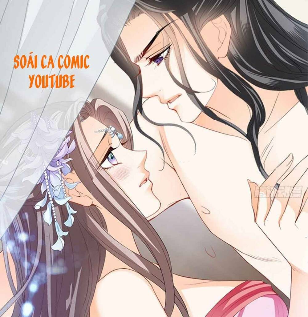 bổn vương muốn nàng chapter 78 37