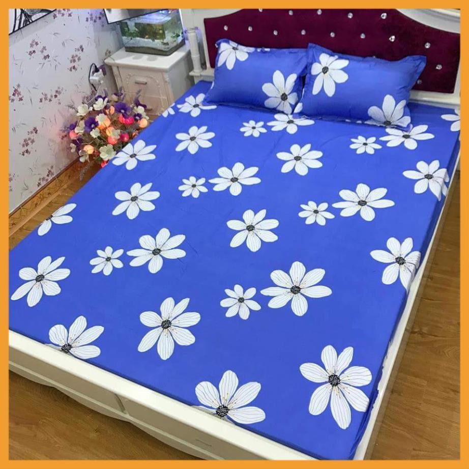 Đôi vỏ gối nằm cotton poly 45x65cm (các mẫu đã up)