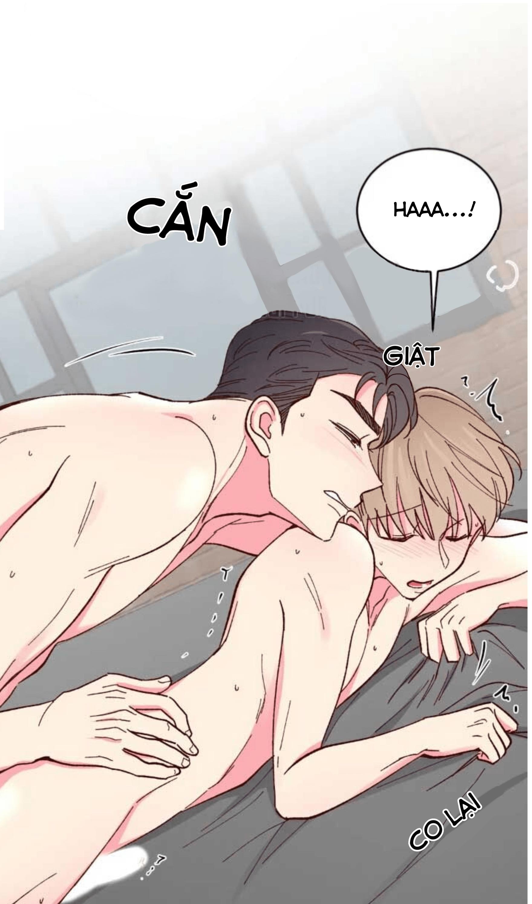 món tráng miệng của sếp tổng chapter 63 10