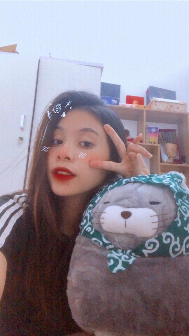 Gấu bông mèo amuse