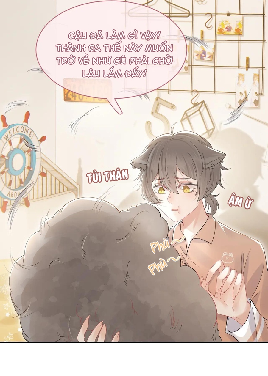 ăn một bé thỏ chapter 39 36