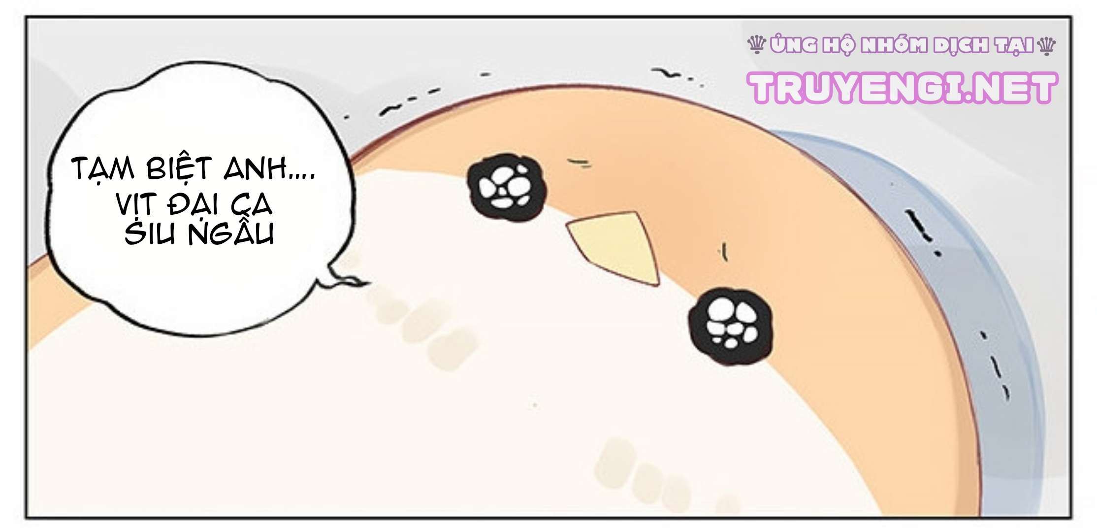 sẻ chiếu mới và nhạn phong sương chapter 2 3