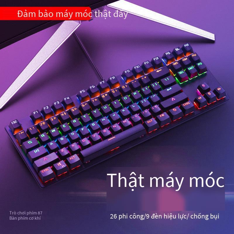 Đặc Biệt Tặng Vẹt Mới Xanh Trục Chống Bụi Cạnh Tranh 26 Phím Không Bấm 87 Phím Kinh Doanh Bàn Phím Trò Chơi Cặp Đôi bàn Phím Cơ Thật