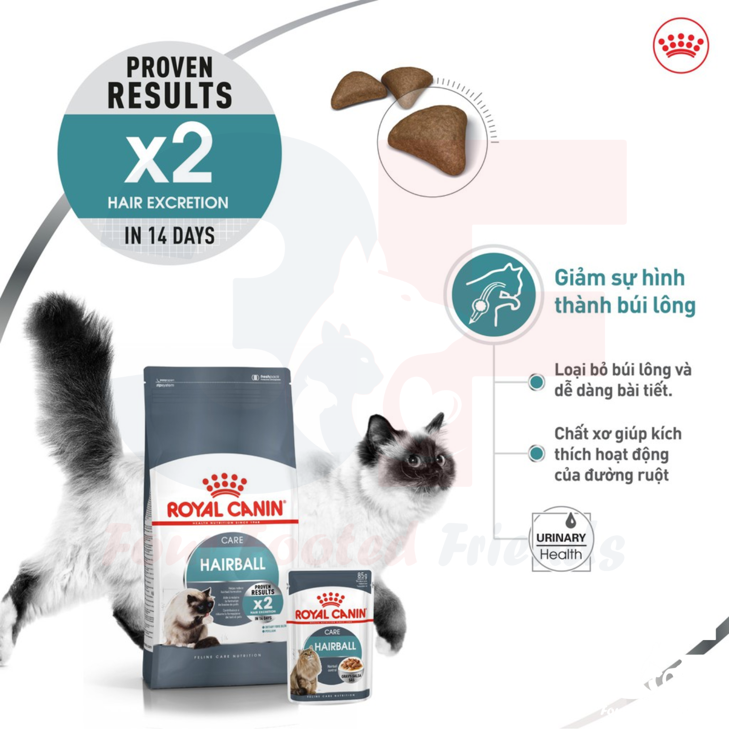 Thức Ăn Hạt Hỗ Trợ Tiêu Búi Lông Cho Mèo Trưởng Thành Royal Canin Intense Hairball