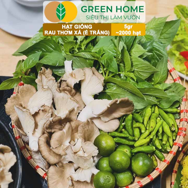 Hạt Giống Rau Thơm Xả (É Trắng) GreenHome, Gói 5g~2000 hạt, Sinh Trưởng Khỏe, Dễ Trồng Quanh Năm G19