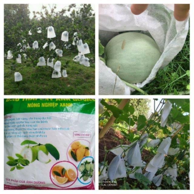 50Túi Bao Trái Bưởi - Xoài Ánh Dương Chất Lượng Cao vải không dệt