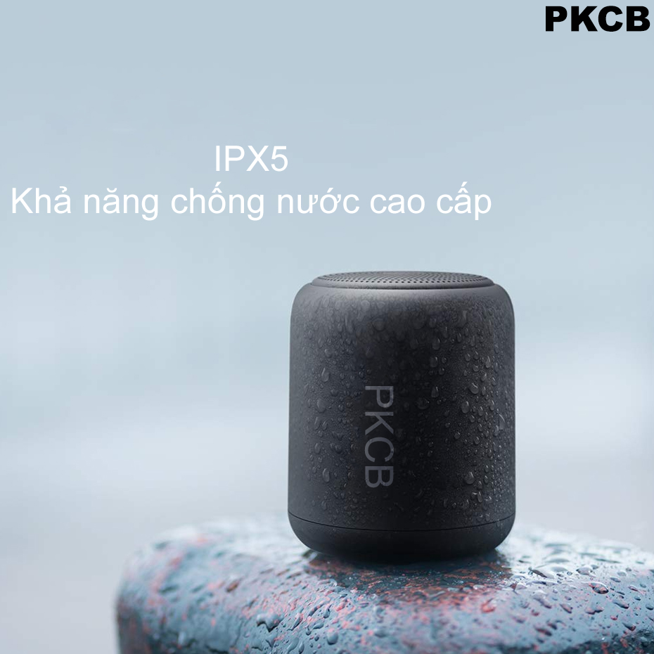 Loa Nghe nhạc bluetooth mini 5.0 Pin 10 Giờ PKCB120 Đen - Hàng Chính Hãng