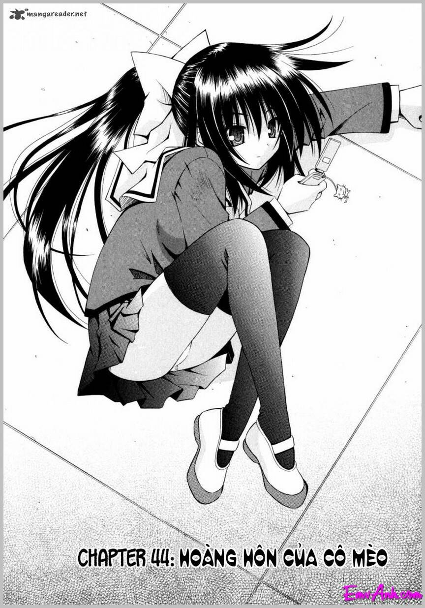 omamori himari chapter 44 4