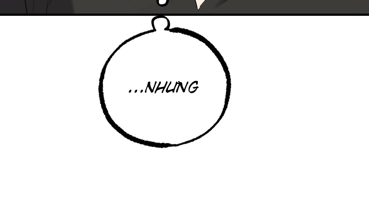 những chú thỏ của hapypy chapter 56 116