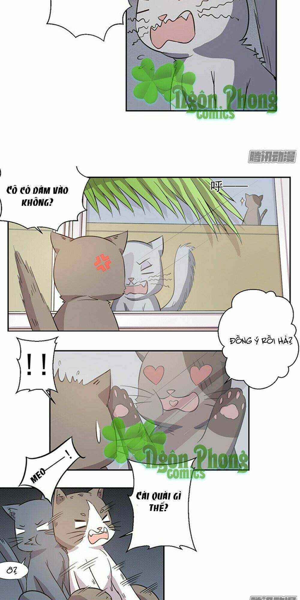 hai chú mèo totem chapter 26 9