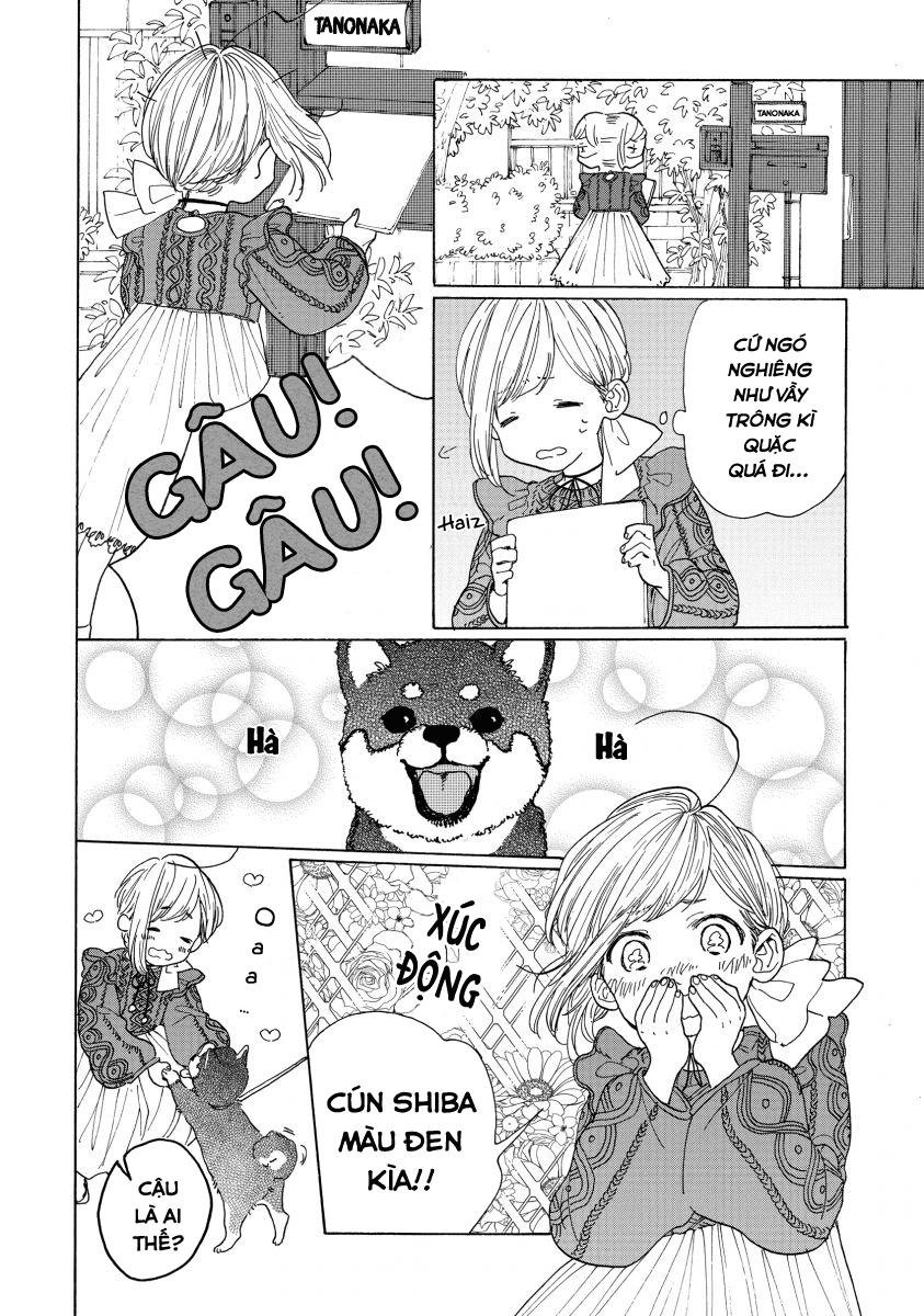 bí mật của madoka chapter 1 19