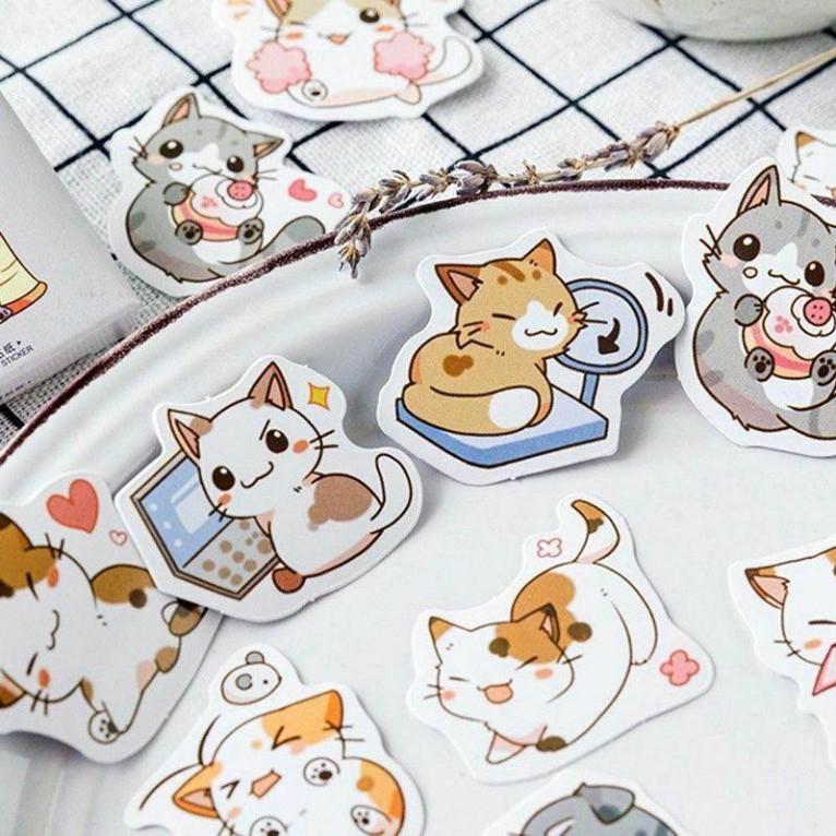 Bộ 45 sticker dán trang trí hình mèo dễ thương