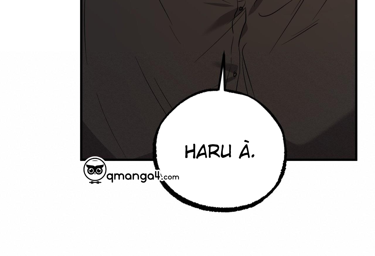 những chú thỏ của hapypy chapter 57 148