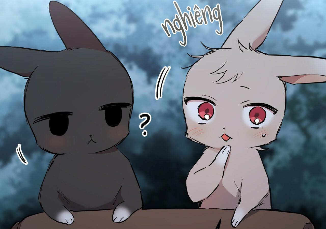 đàn thỏ của habibi chapter 20 49