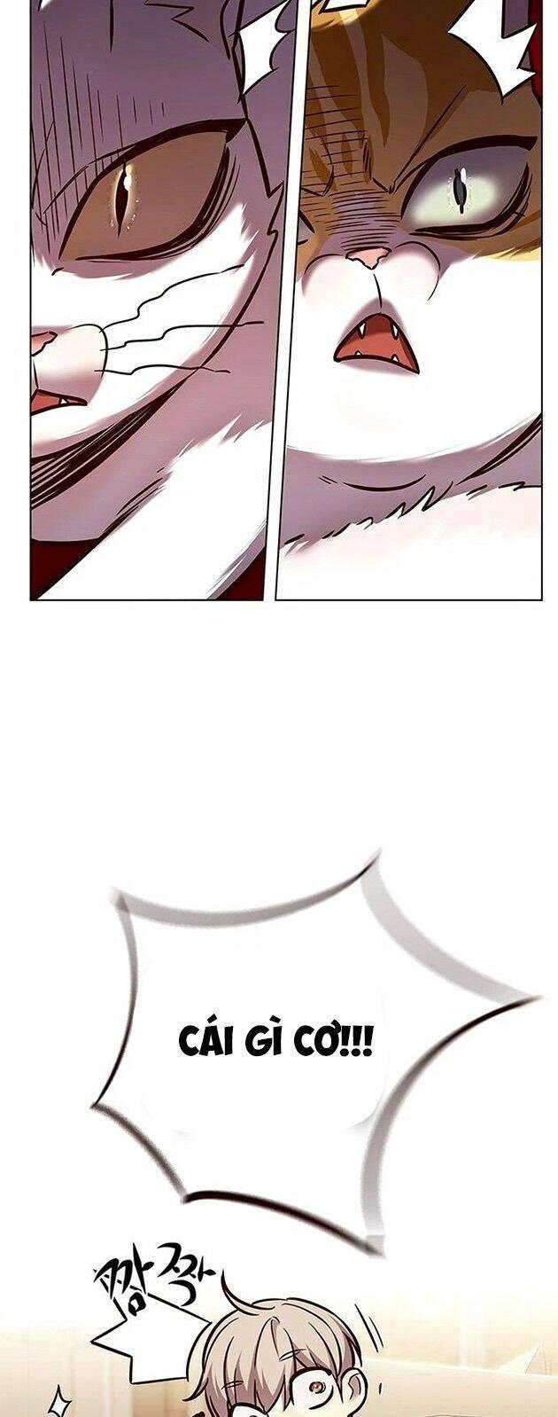 biến thân thành mèo chapter 225 44