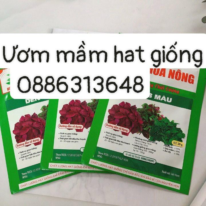 Hạt giống HN Giống dền ba màu gói 20gr