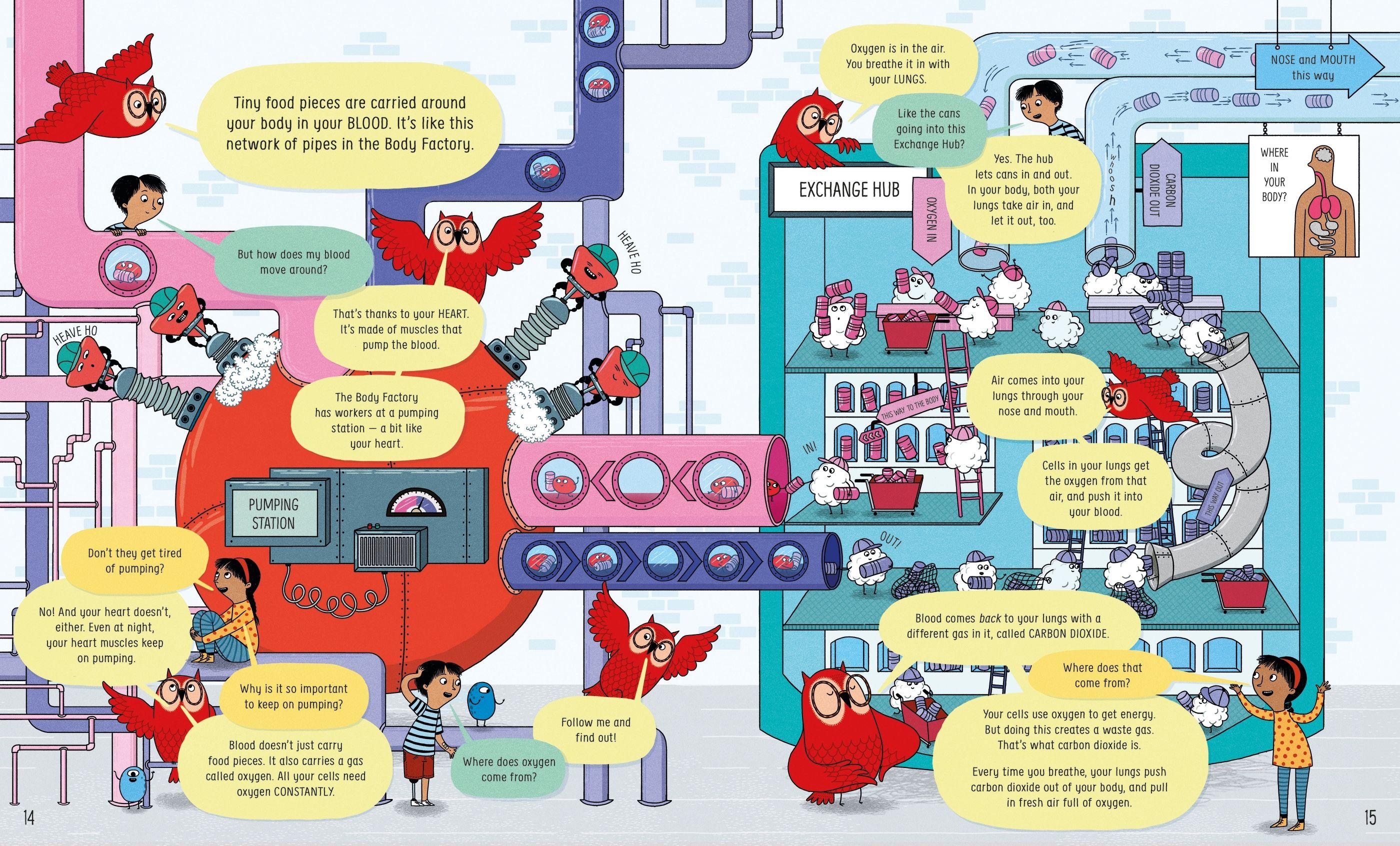 Sách ngoại văn: Usborne Book Of The Body And How It Works